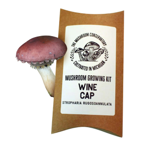 Wine Cap Mushroom Growing Kit I