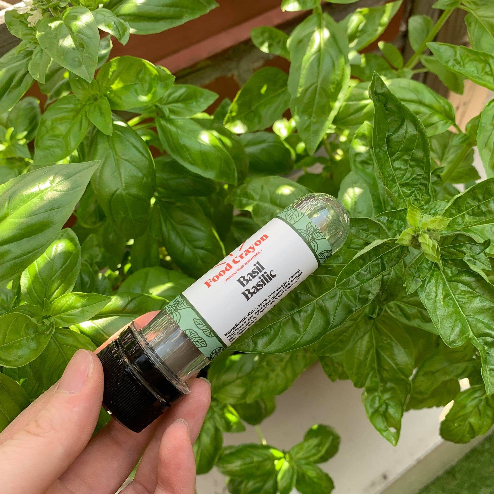 Basil Food Crayon & Sharpener