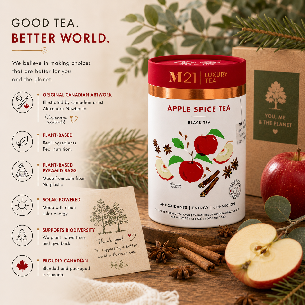 Apple Spice Luxury Black Tea | Canadian | 24ct