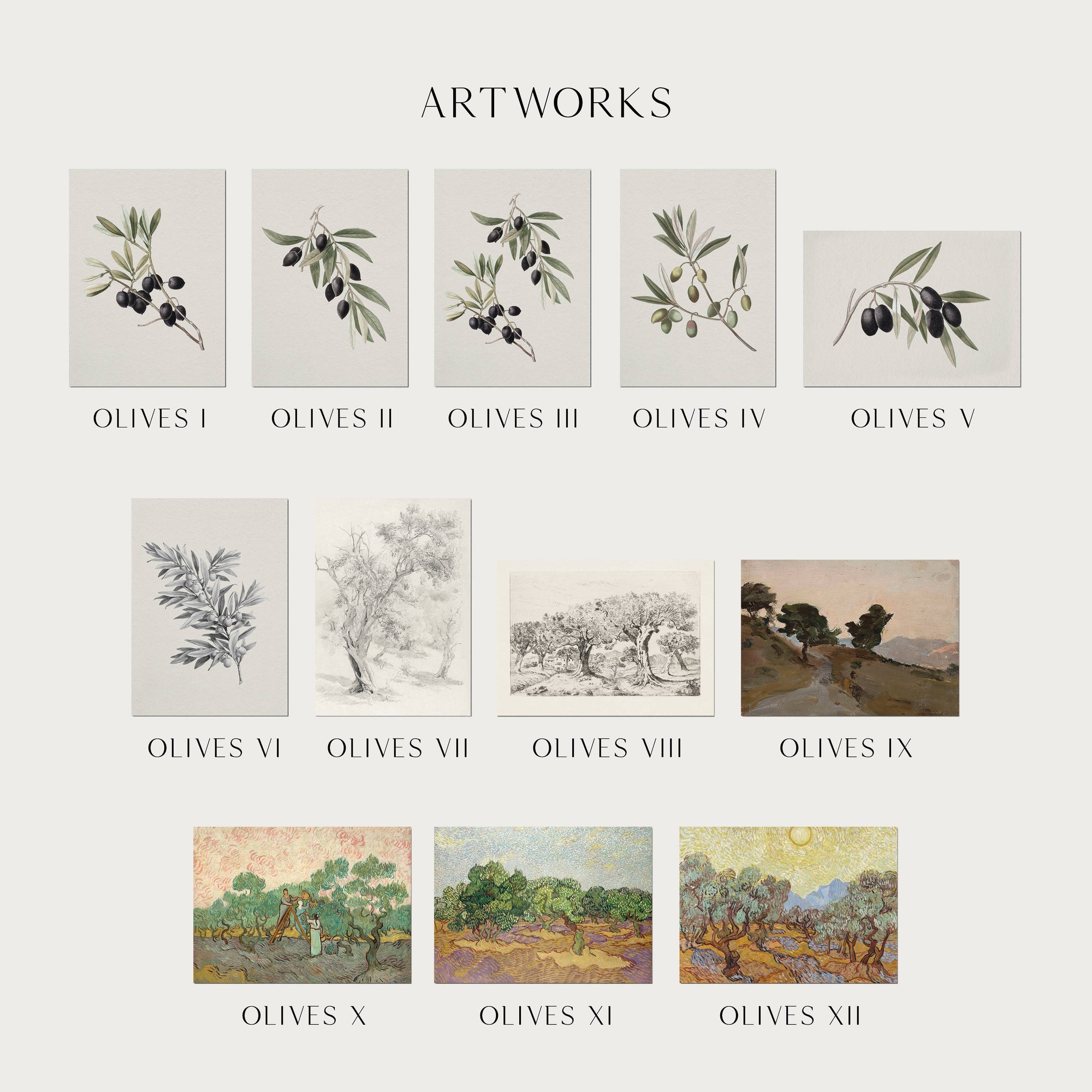 Folded Cards - Olives Collection