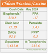 Chilean Frantoio Leccino- 2024 ROBUST Ultra-Premium EVOO