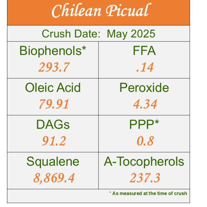 Chilean Picual- 2025 MILD Ultra-Premium EVOO