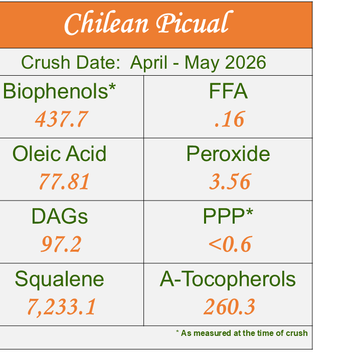 Chilean Picual - 2026 ROBUST EVOO Ultra-Premium Olive Oil