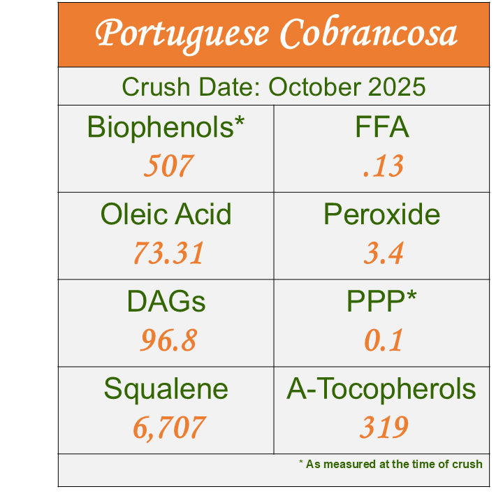 Portuguese Cobrancosa 2025 - ROBUST Ultra-Premium EVOO