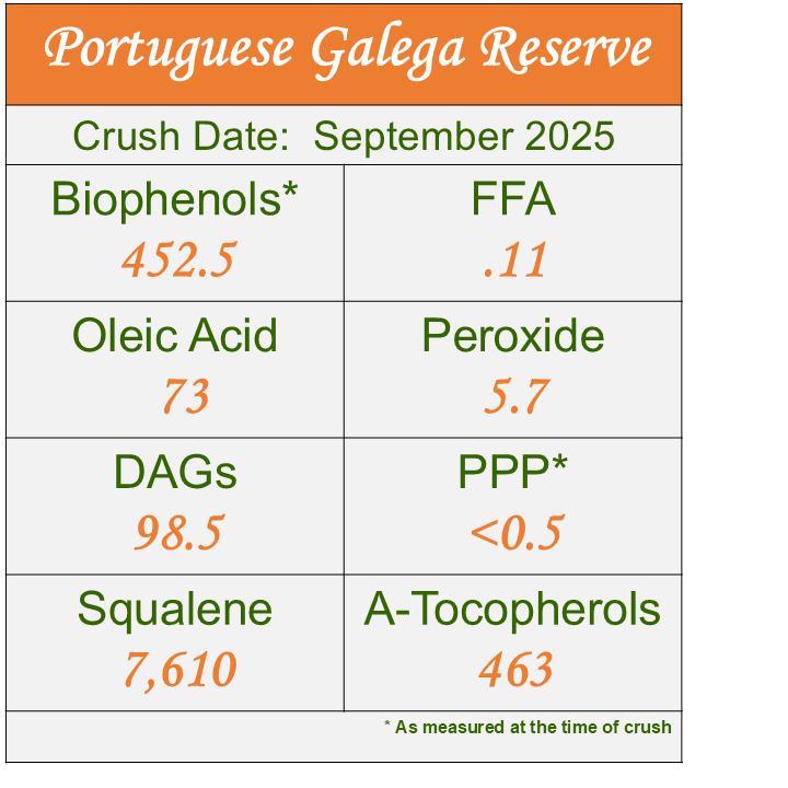 Portuguese Galega 2025 - ROBUST Ultra-Premium EVOO