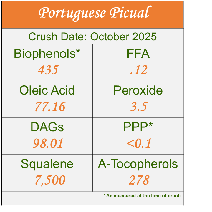 Portuguese Picual 2025 - MEDIUM Ultra-Premium EVOO