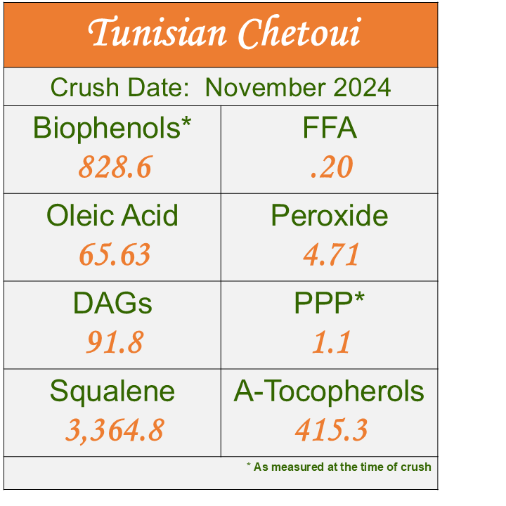 Tunisian Chetoui 2024 - ROBUST Ultra-Premium EVOO