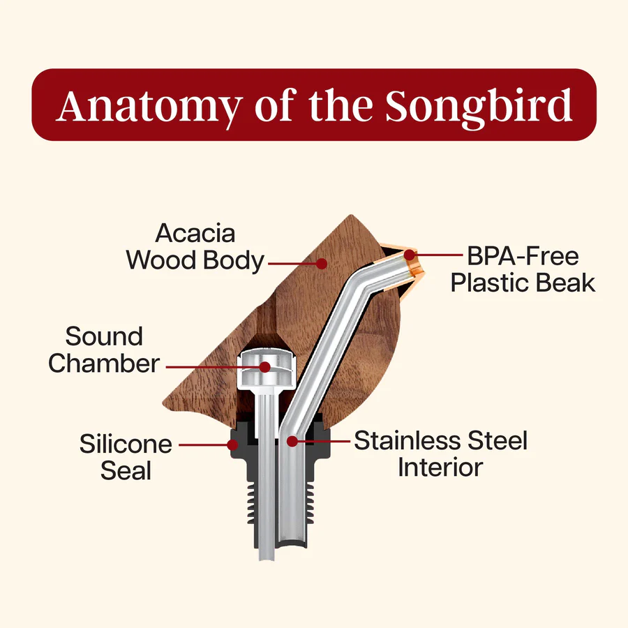 Songbird Bottle Pourer
