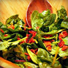 Aged Maple Balsamic Bacon Vinaigrette Over Wilted Baby Spinach - EVOO & Vin
