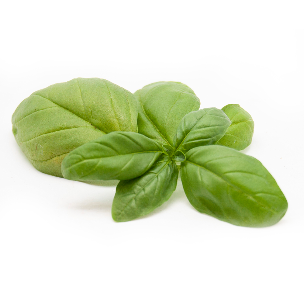 Basil Infused Olive Oil