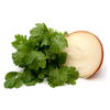Cilantro and Roasted Onion Infused Olive Oil
