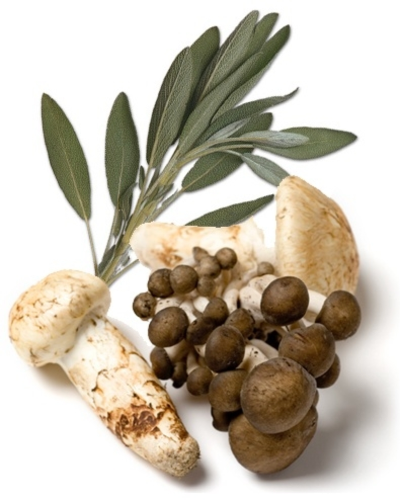 Wild Mushroom & Sage Infused Olive Oil