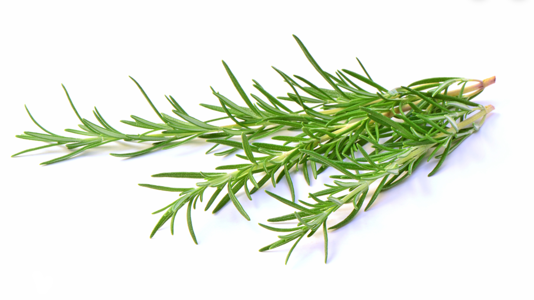 Rosemary Fused Olive Oil