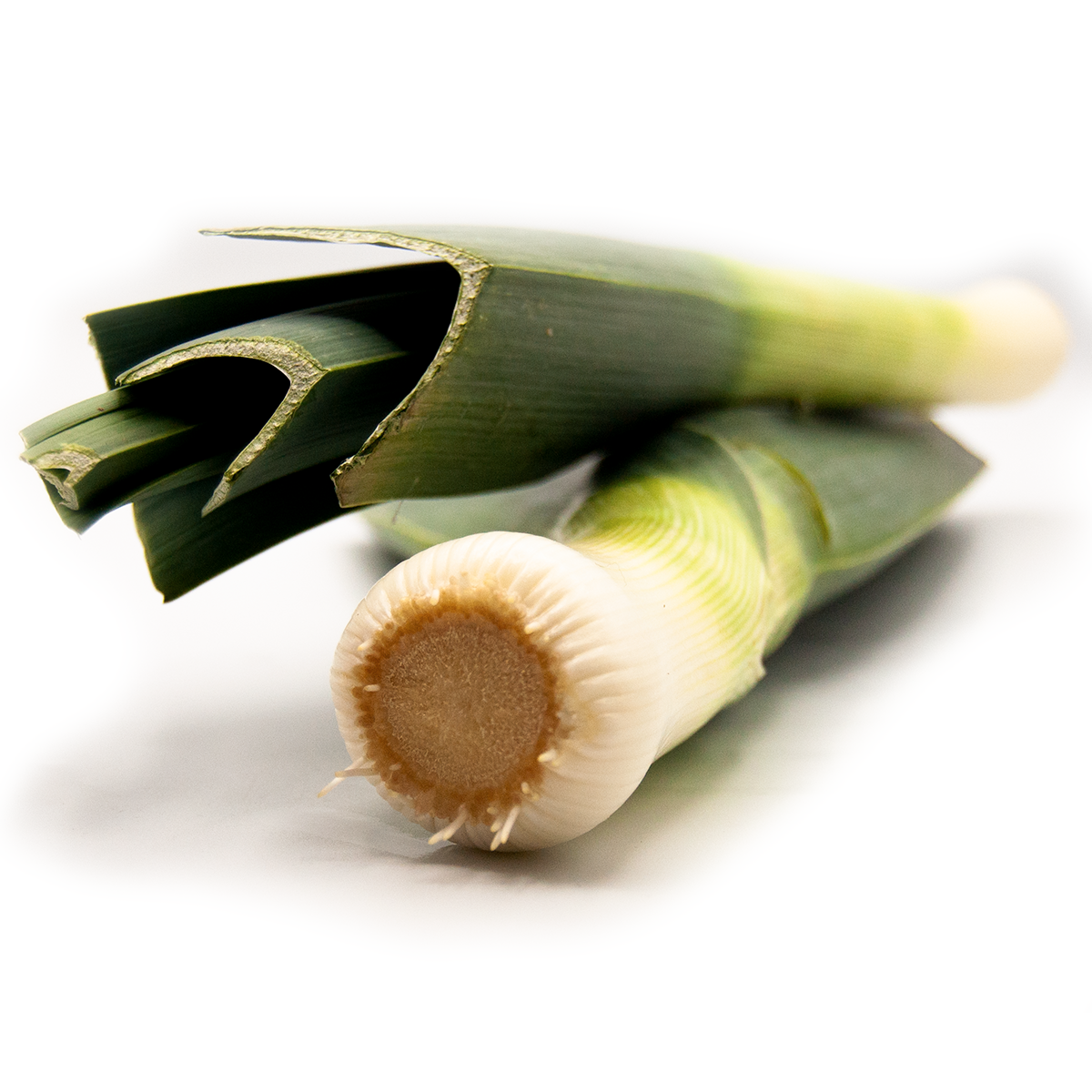 Leek Fused Greek Olive Oil