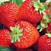 Strawberry Balsamic Vinegar - EVOO & Vin
 - 1